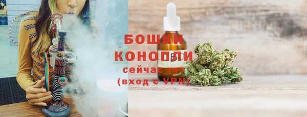 гидра Медногорск