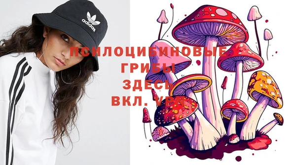 стафф Медвежьегорск